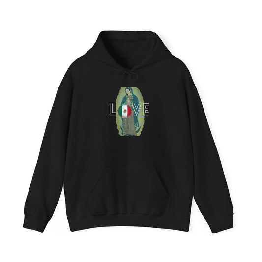 Mexico y La Virgensita Custom Designed Hoodie Heavyweight Sweatshirt 9 colors sizes S-5XL 'WE CAN ADD YOUR NAME TO THIS CUSTOM ITEM'